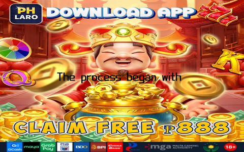 The process began with a simple search, and I was immediately bombarded with information
